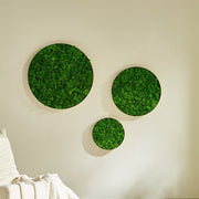 Rounded Moss Wall Hanging