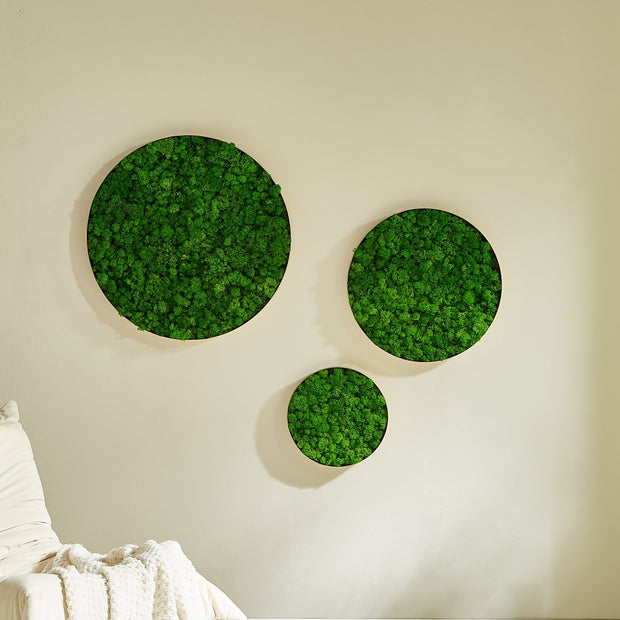 Rounded Moss Wall Hanging