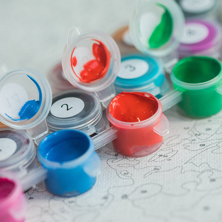 DIY Painting by Numbers Kit