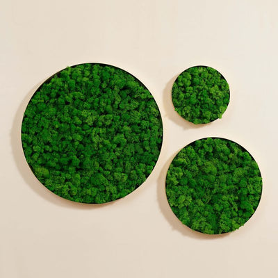 Rounded Moss Wall Hanging
