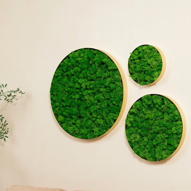 Rounded Moss Wall Hanging