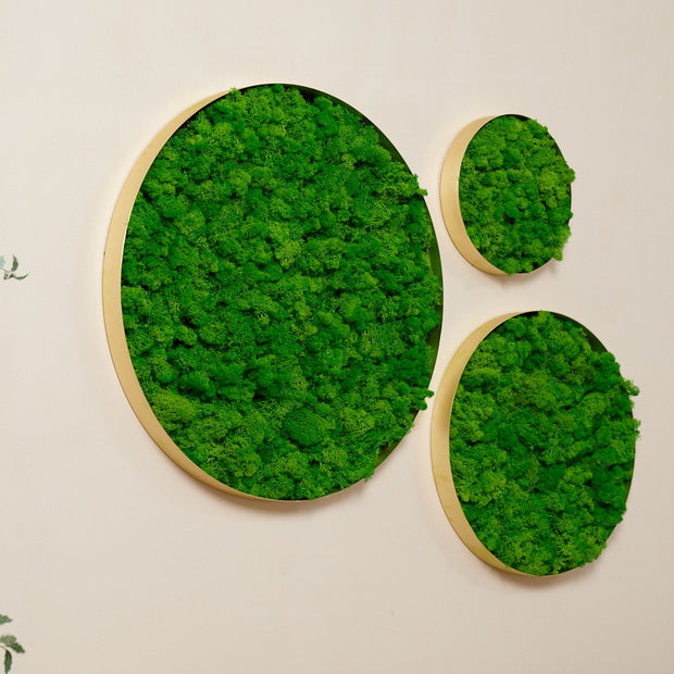 Rounded Moss Wall Hanging