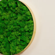 Rounded Moss Wall Hanging