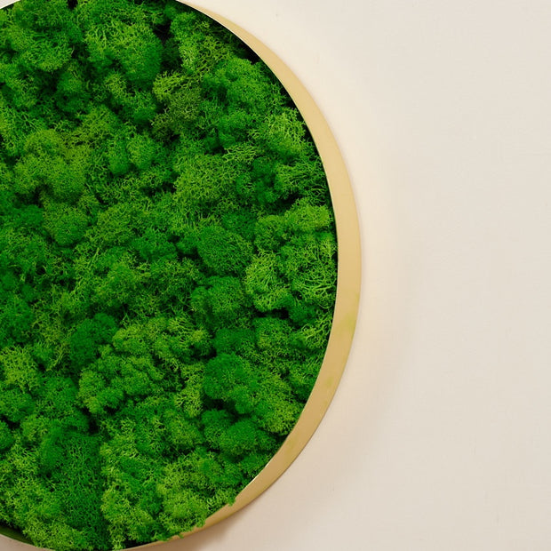 Rounded Moss Wall Hanging
