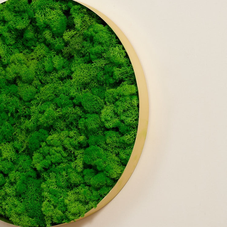 Rounded Moss Wall Hanging