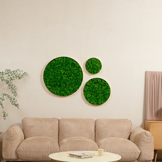 Rounded Moss Wall Hanging