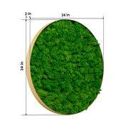 Rounded Moss Wall Hanging