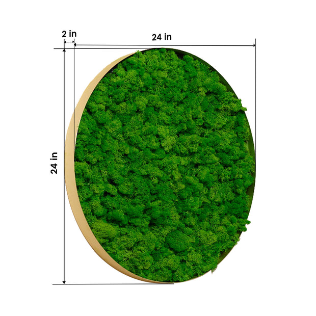 Rounded Moss Wall Hanging